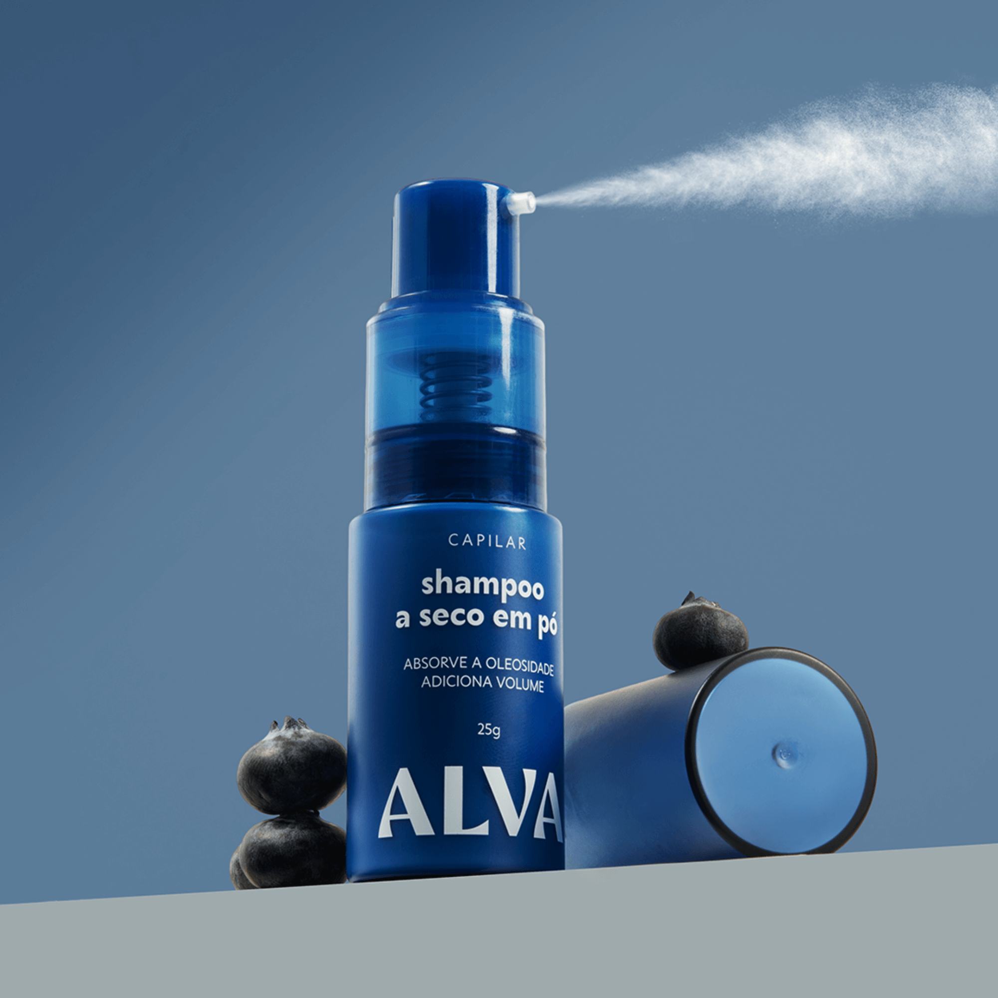 Shampoo a Seco em Pó 25g - Alva