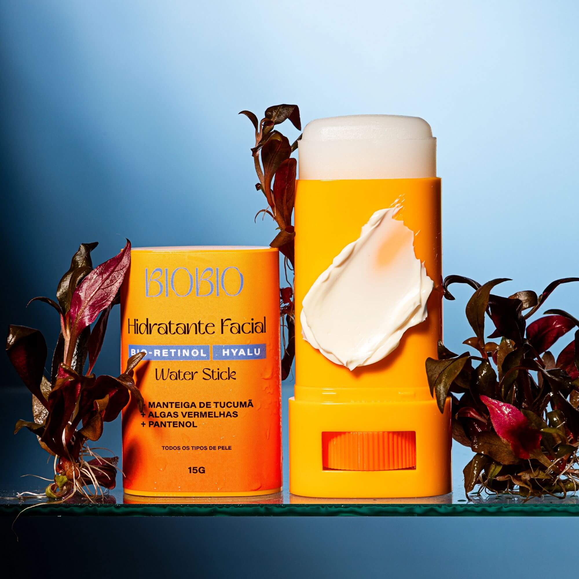 Bastão Hidratante Bioretinol Hyalu 15g - BioBio
