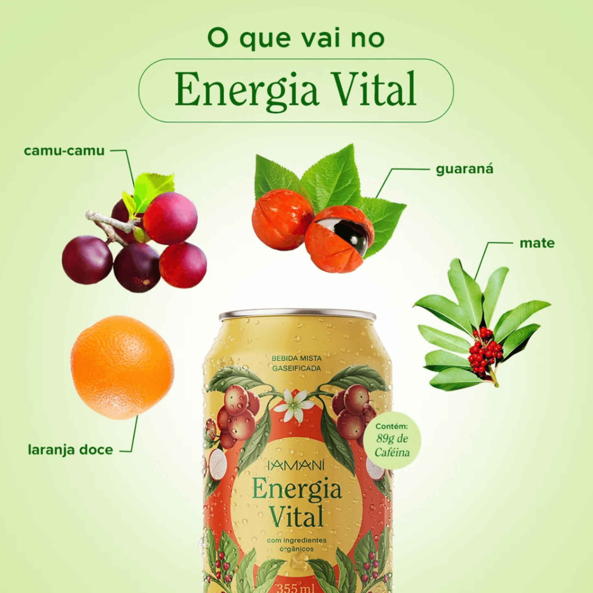 Chá Gaseificado Energia Vital 355ml - Iamaní
