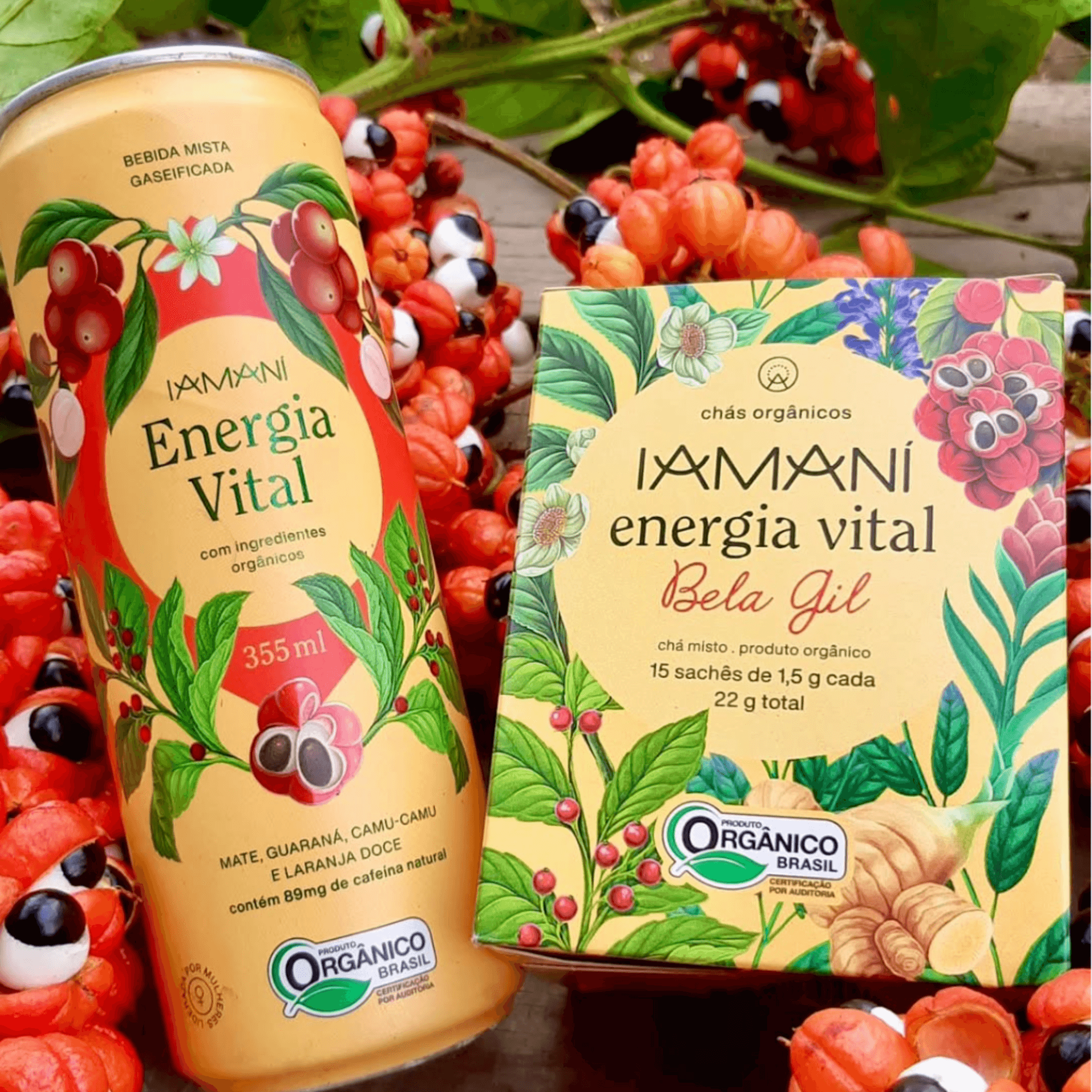 Chá Gaseificado Energia Vital 355ml - Iamaní