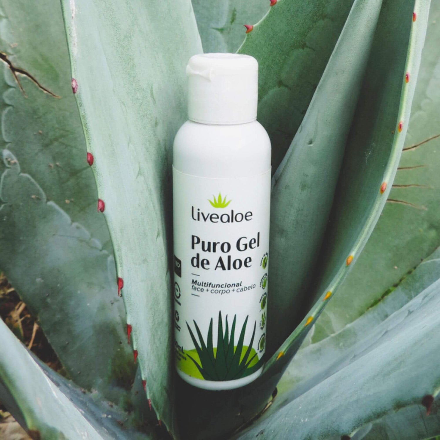 Puro Gel de Aloe - Livealoe