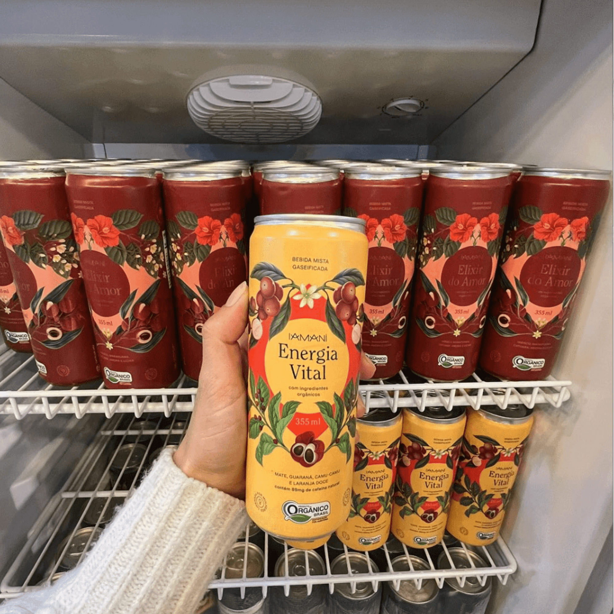 Chá Gaseificado Energia Vital 355ml - Iamaní