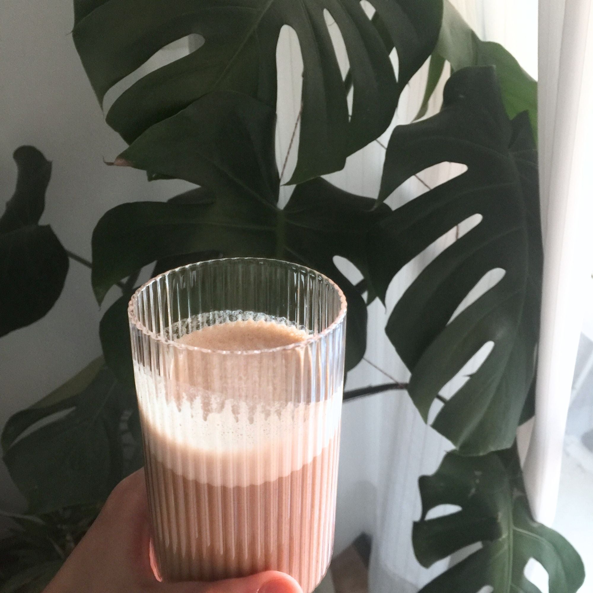Proteína Vegetal de Arroz e Ervilha Sabor Cacau e Maca Peruana 908g - biO2