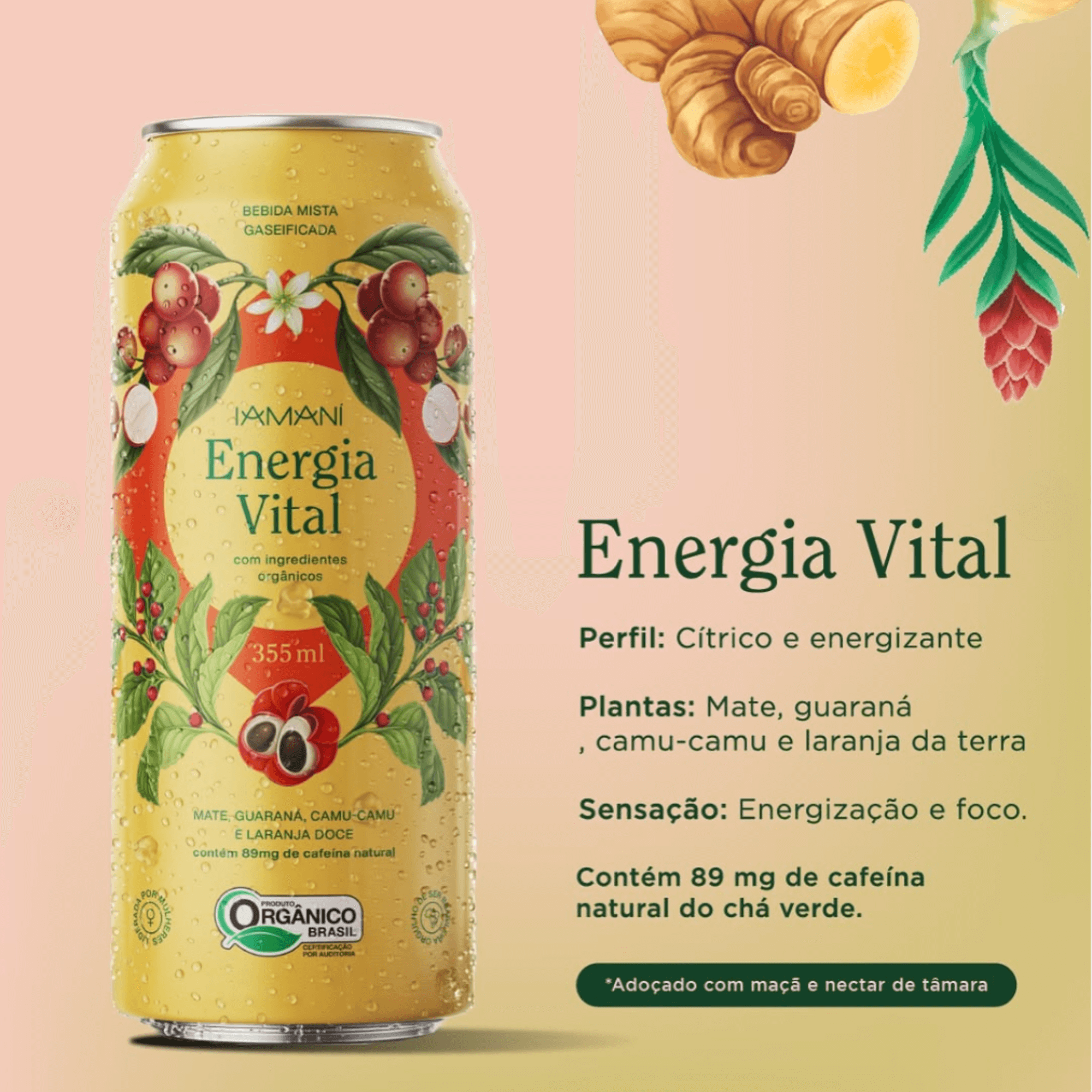 Chá Gaseificado Energia Vital 355ml - Iamaní
