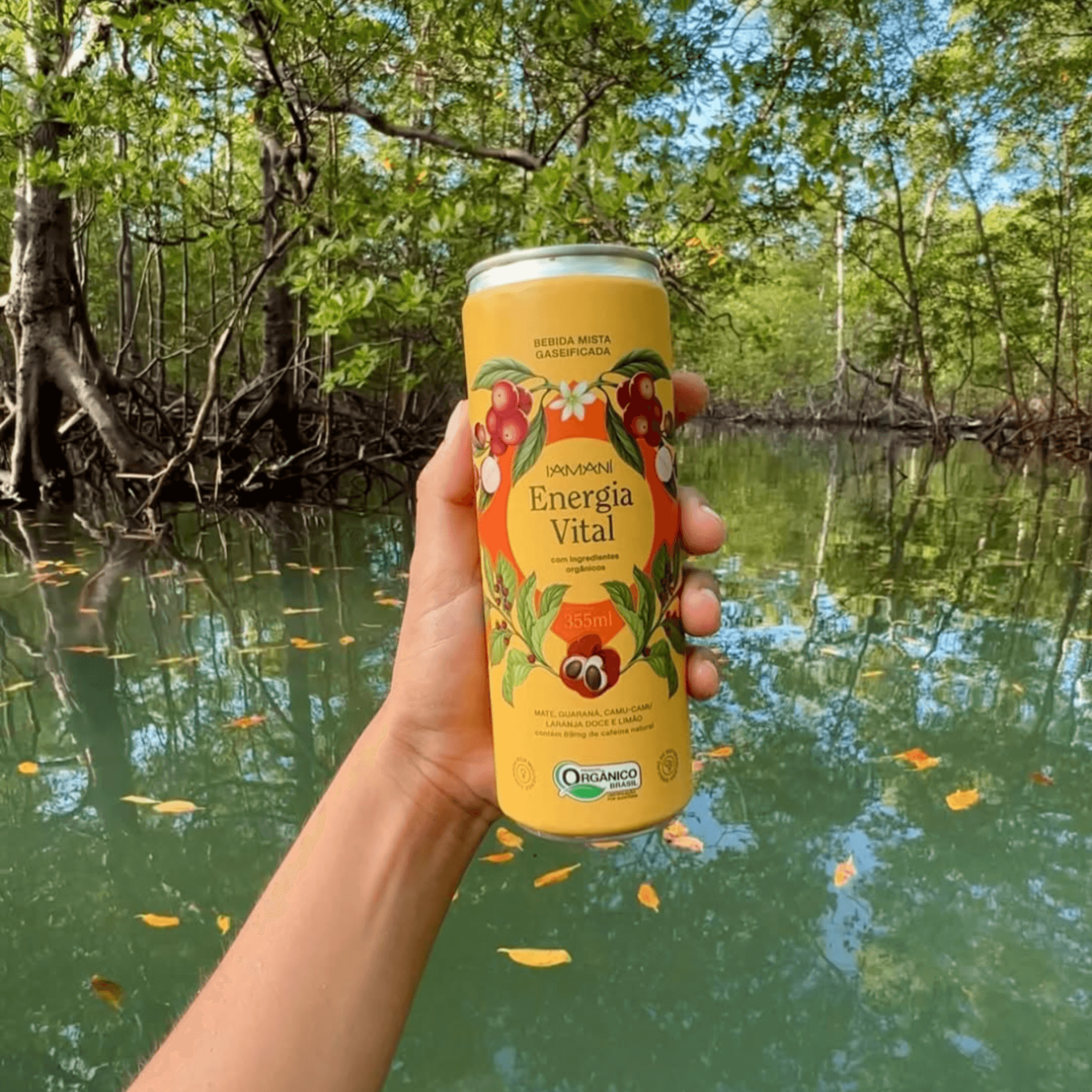 Chá Gaseificado Energia Vital 355ml - Iamaní