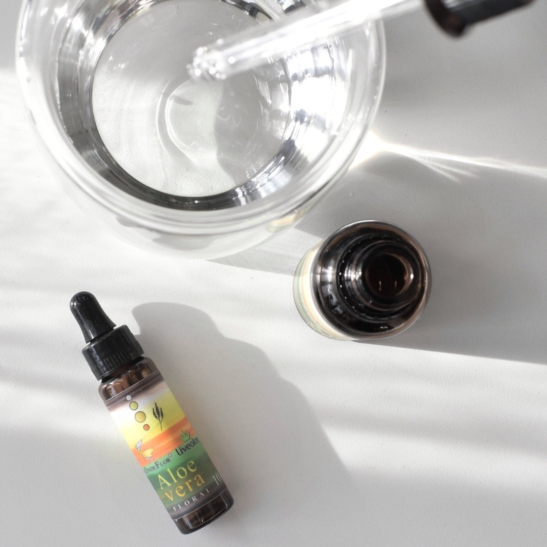 Floral de Aloe Vera Solução Estoque 10ml - Livealoe