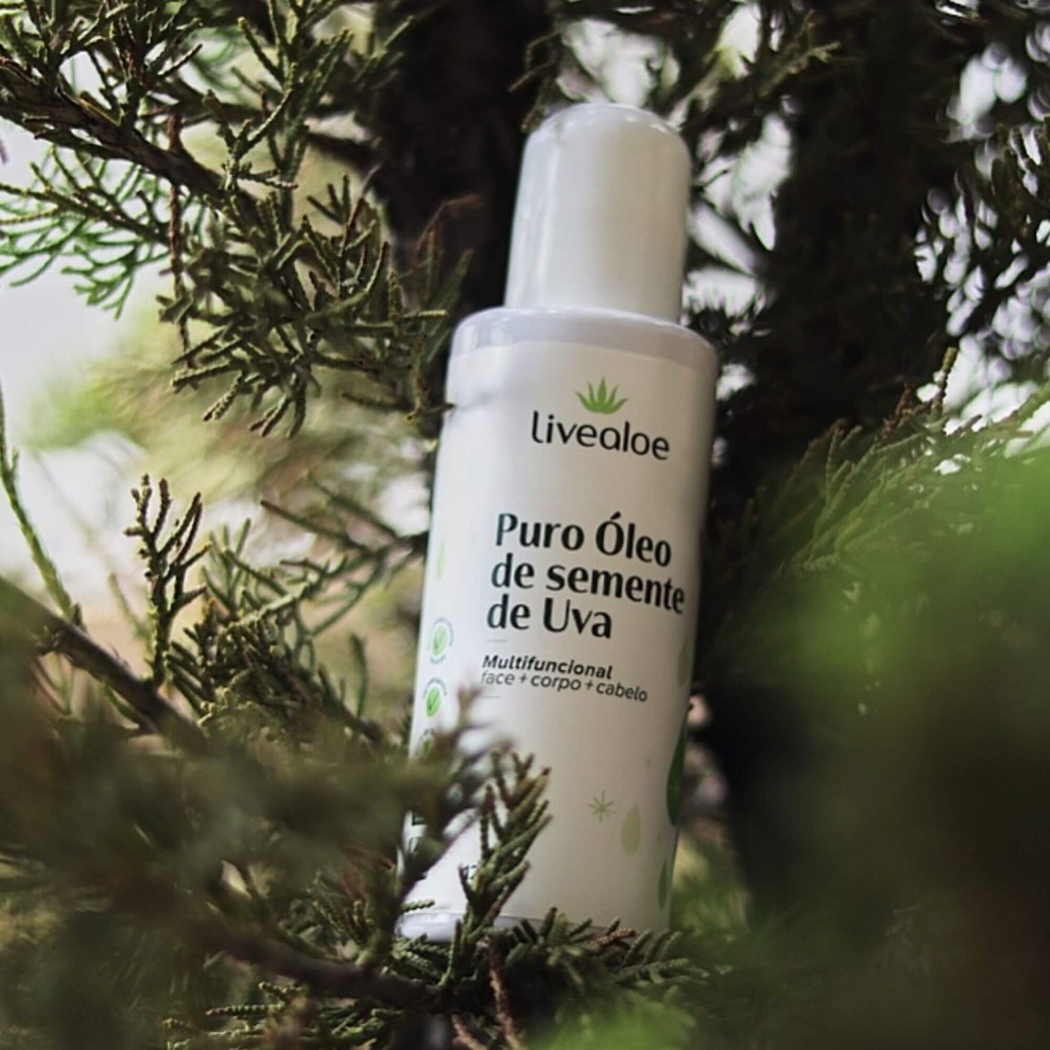 Puro Óleo de Semente de Uva 120ml - Livealoe
