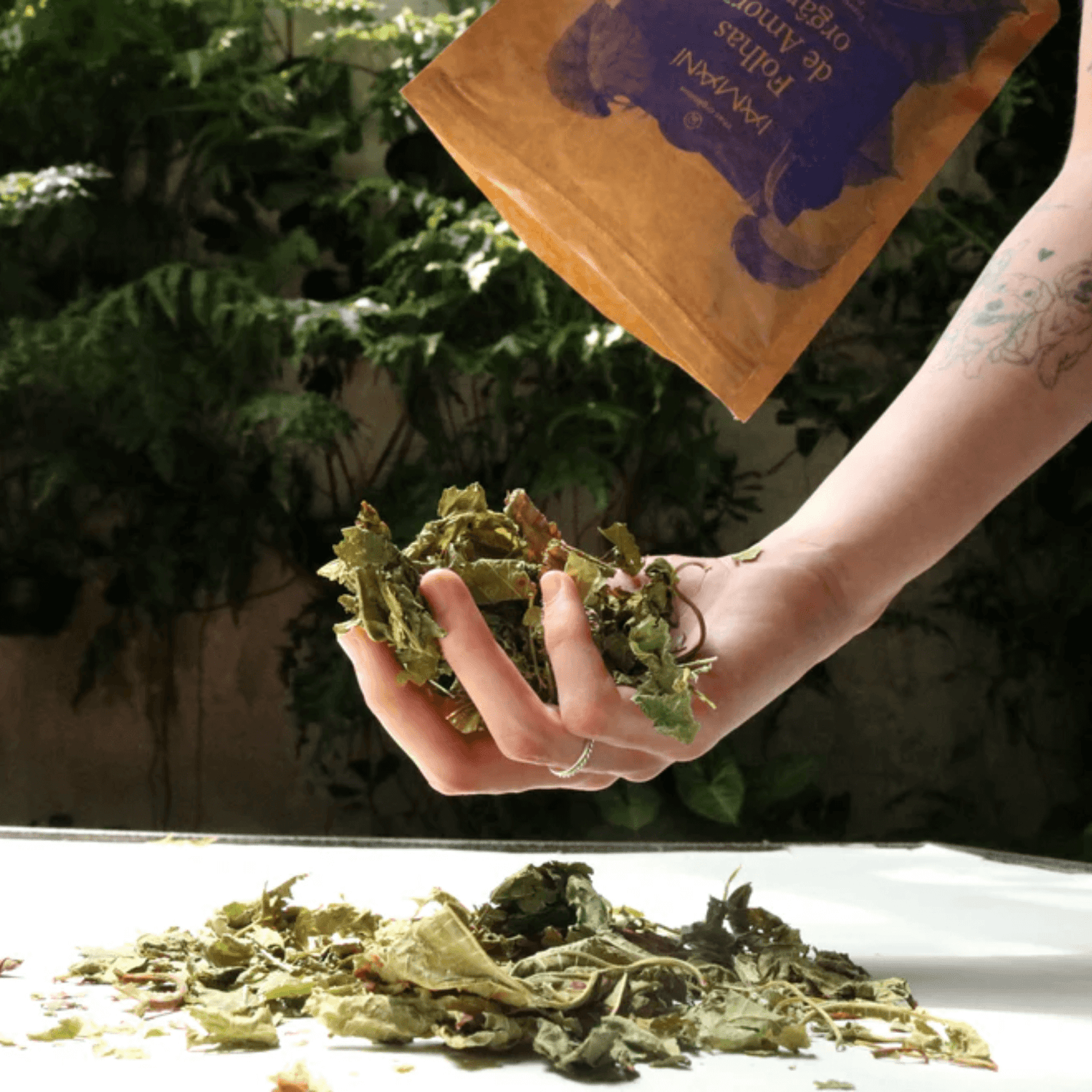 Chá Folhas de Amora Orgânica 30g - Iamaní