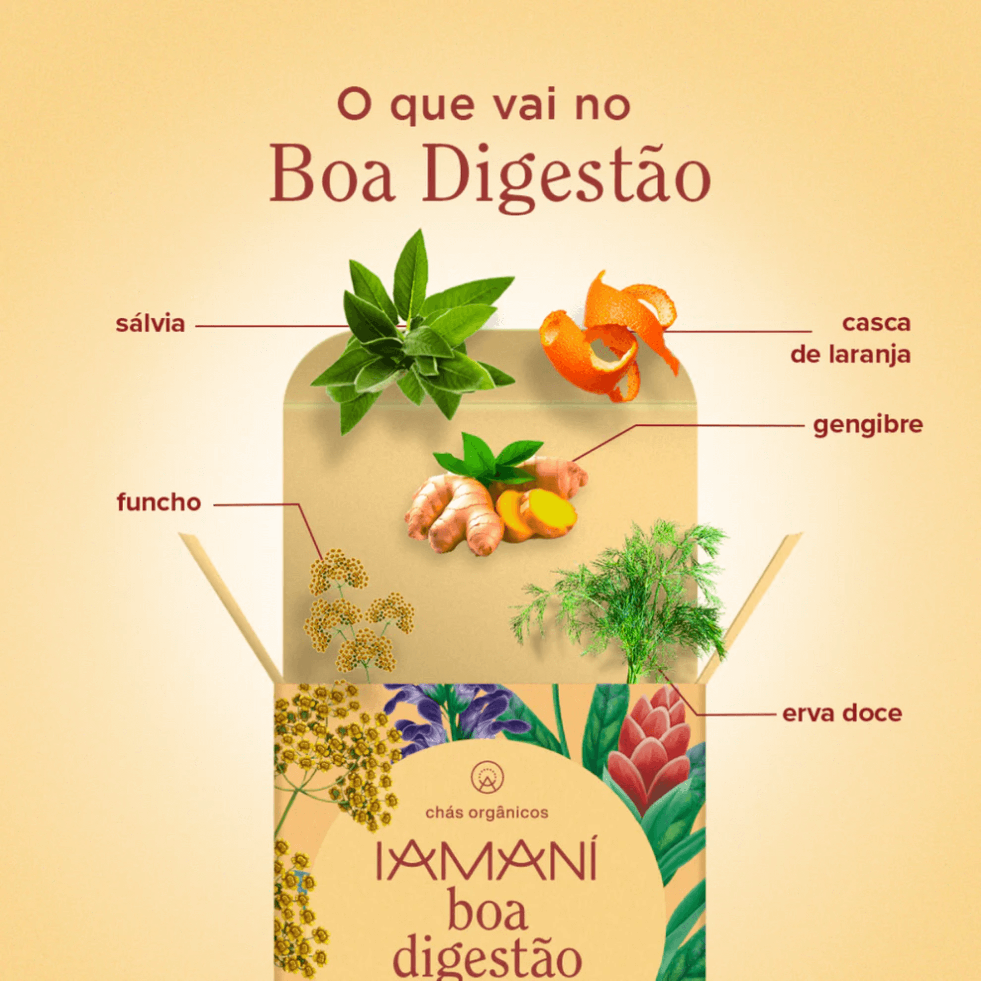 Chá Funcional Orgânico Boa Digestão - Iamaní