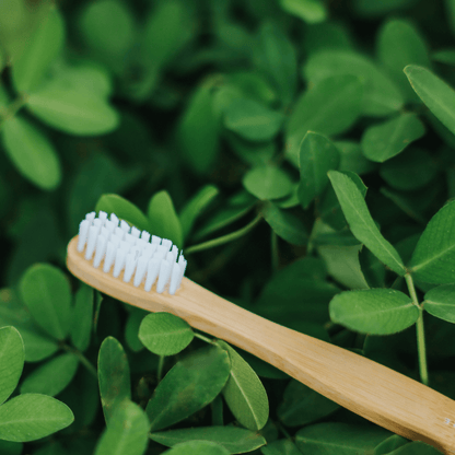 Escova de Dentes de Bambu - Alva