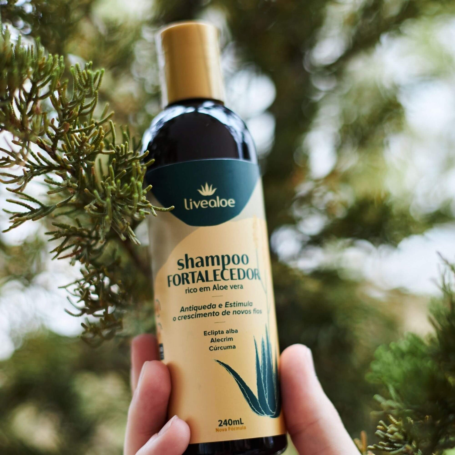 Shampoo Fortalecedor 240ml - Livealoe