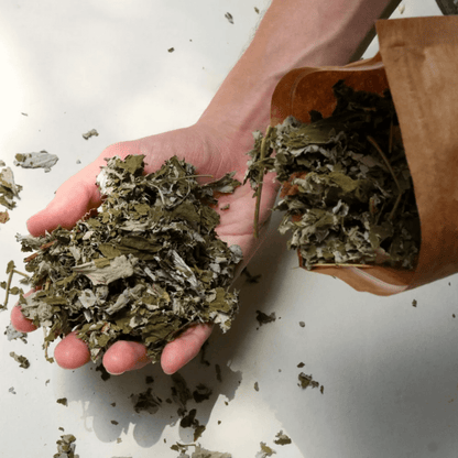Chá Folhas de Framboesa Orgânica 30g - Iamaní