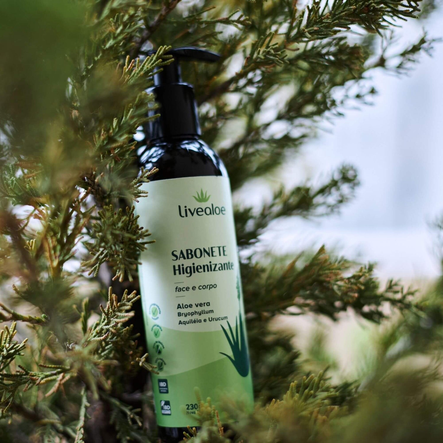 Sabonete Higienizante 230g - Livealoe