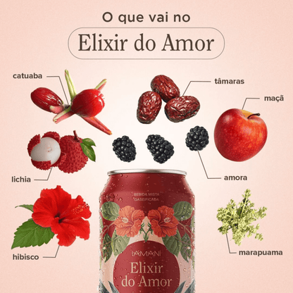 Chá Gaseificado Elixir do Amor 355ml - Iamaní