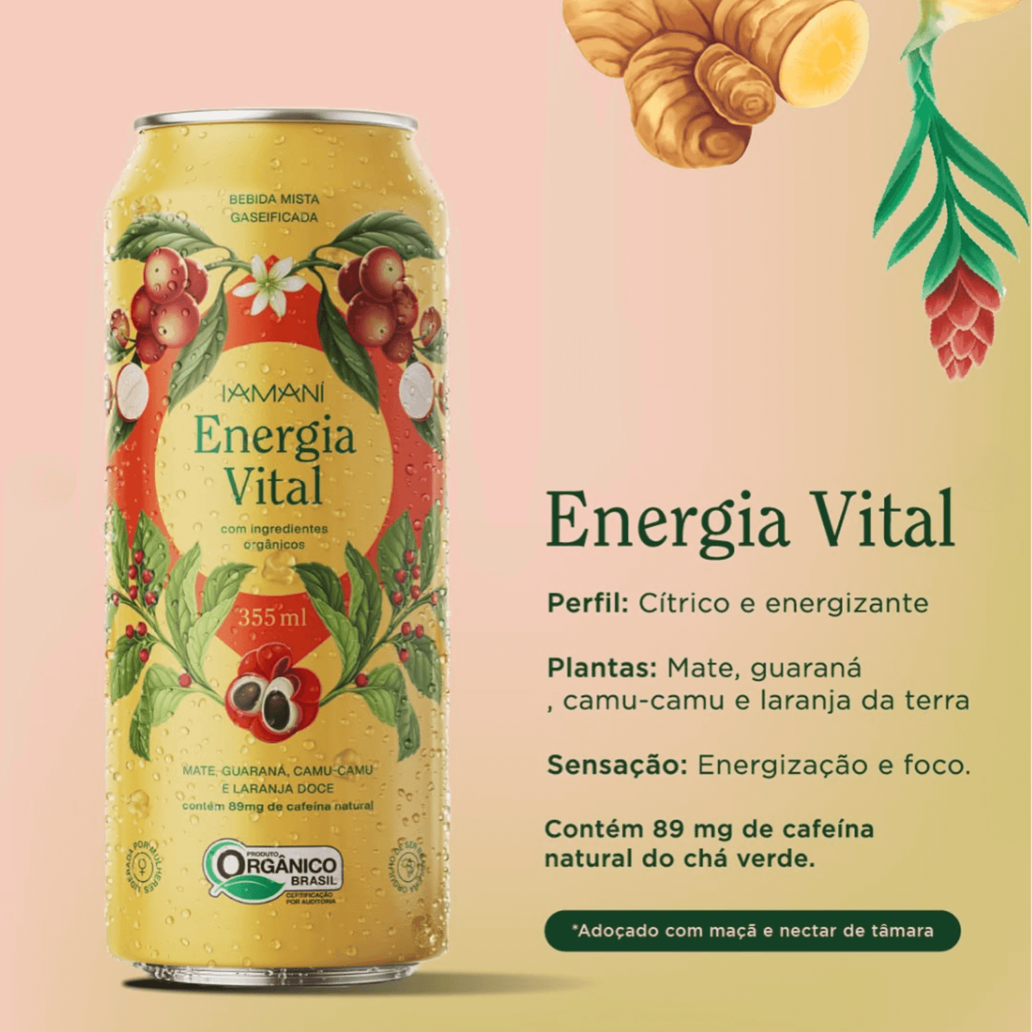 Chá Gaseificado Energia Vital 355ml - Iamaní
