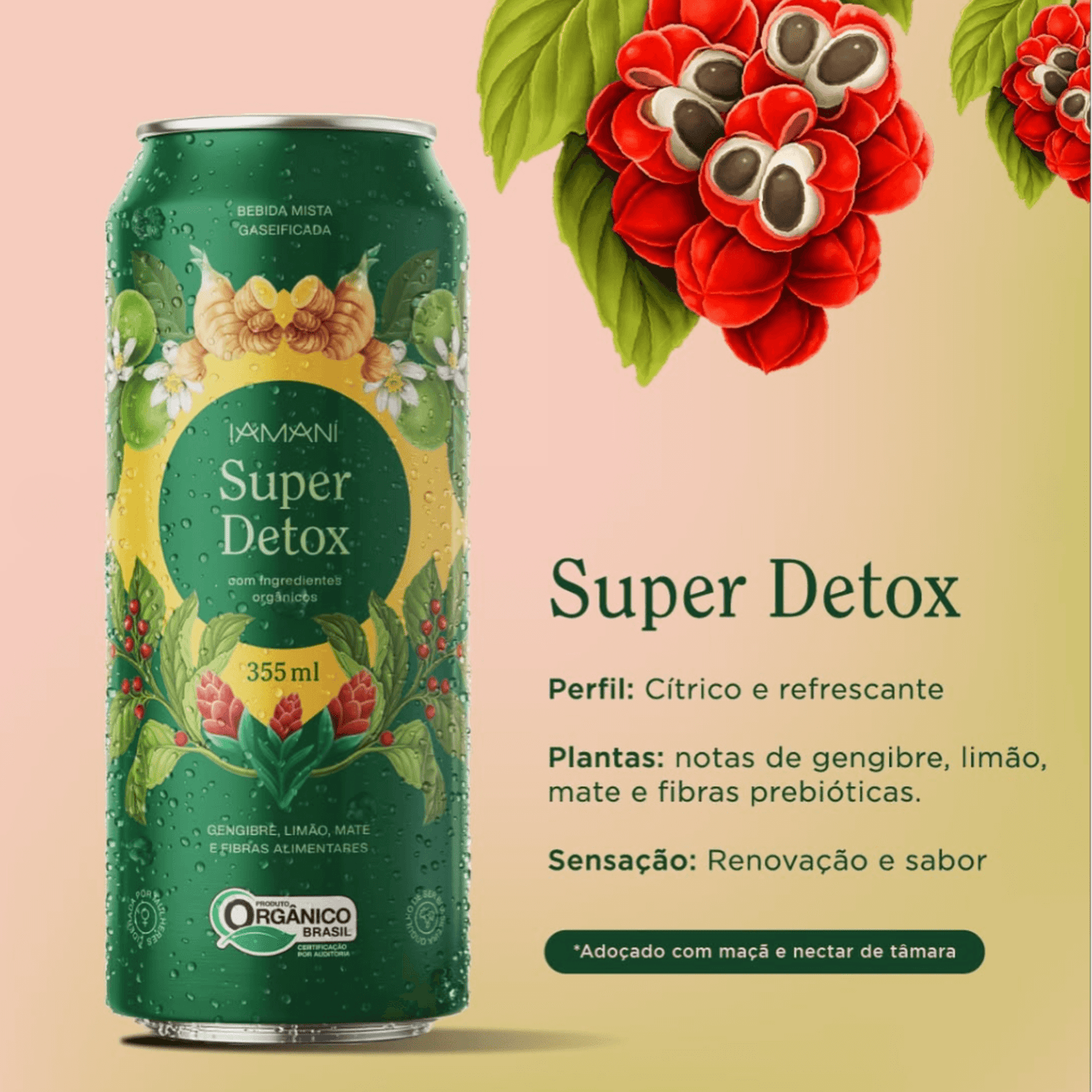 Chá Gaseificado Super Detox 355ml - Iamaní