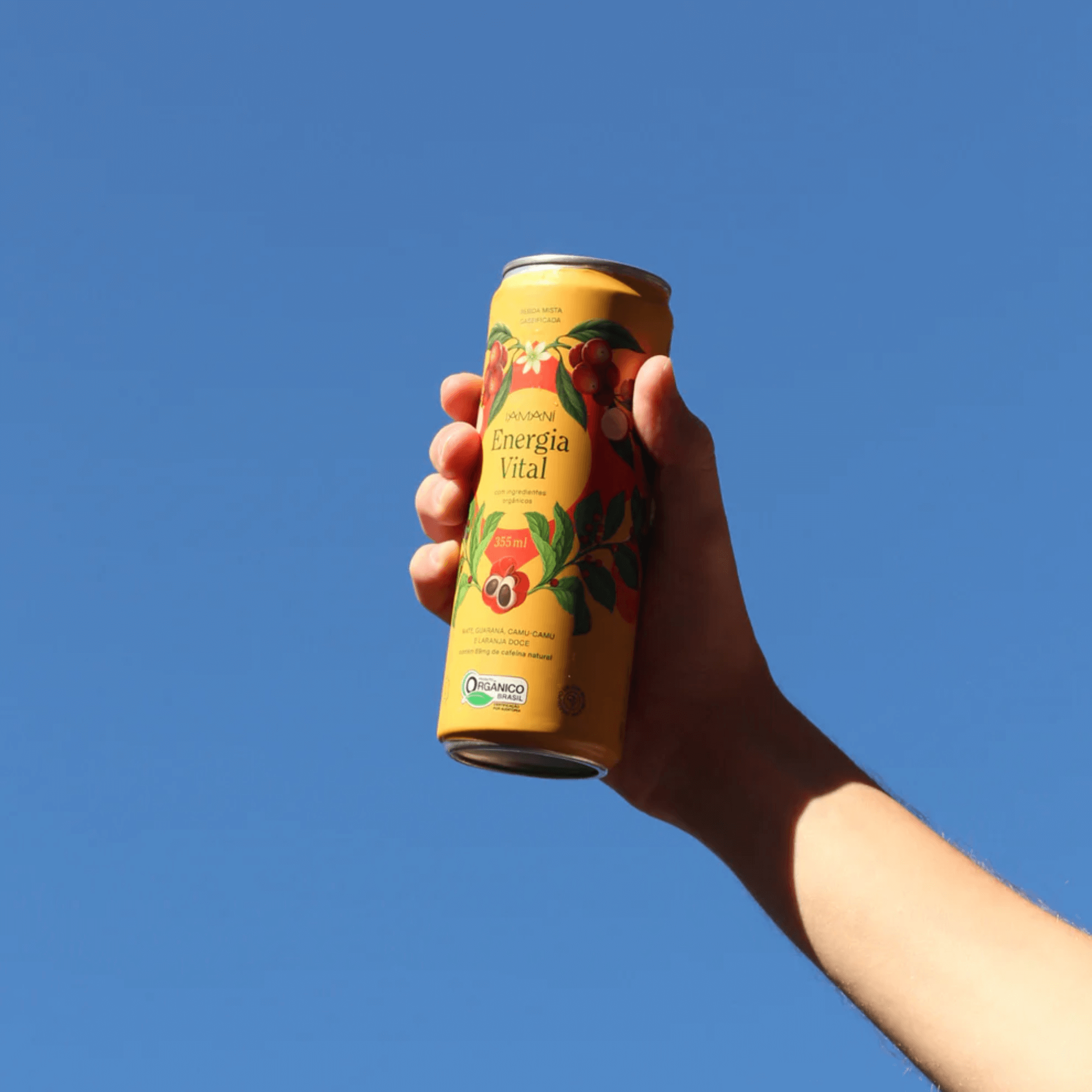 Chá Gaseificado Energia Vital 355ml - Iamaní