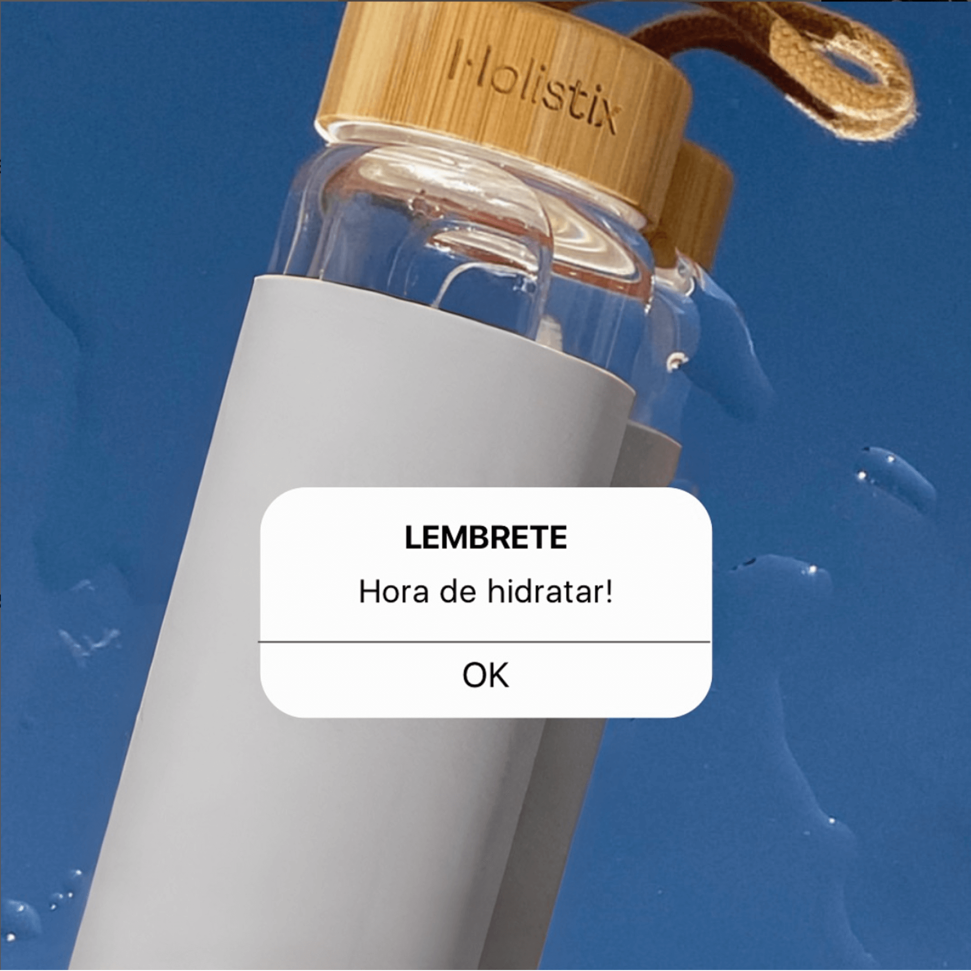 Garrafa de Vidro Cinza - Holistix