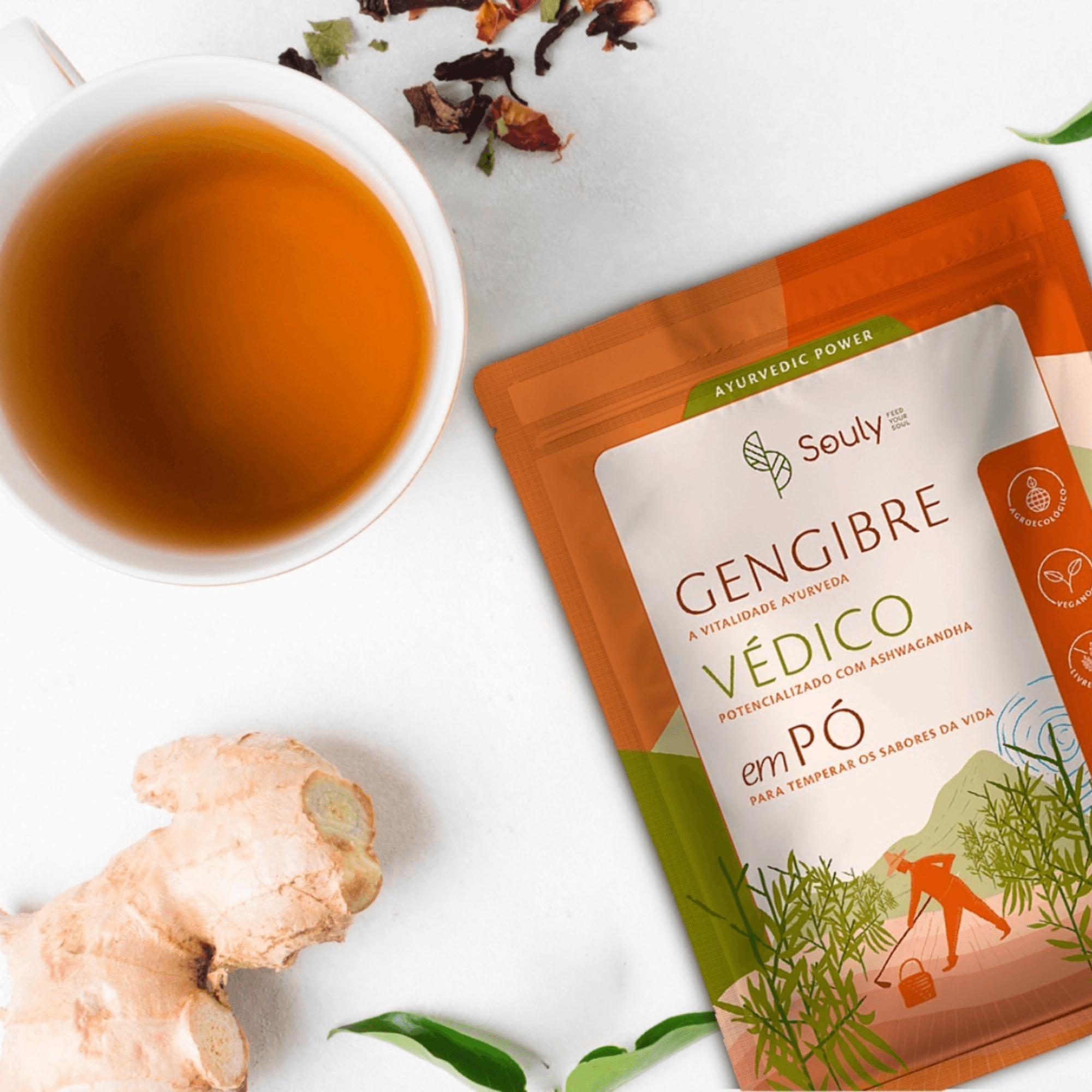 Gengibre Védico em Pó 60g - Souly