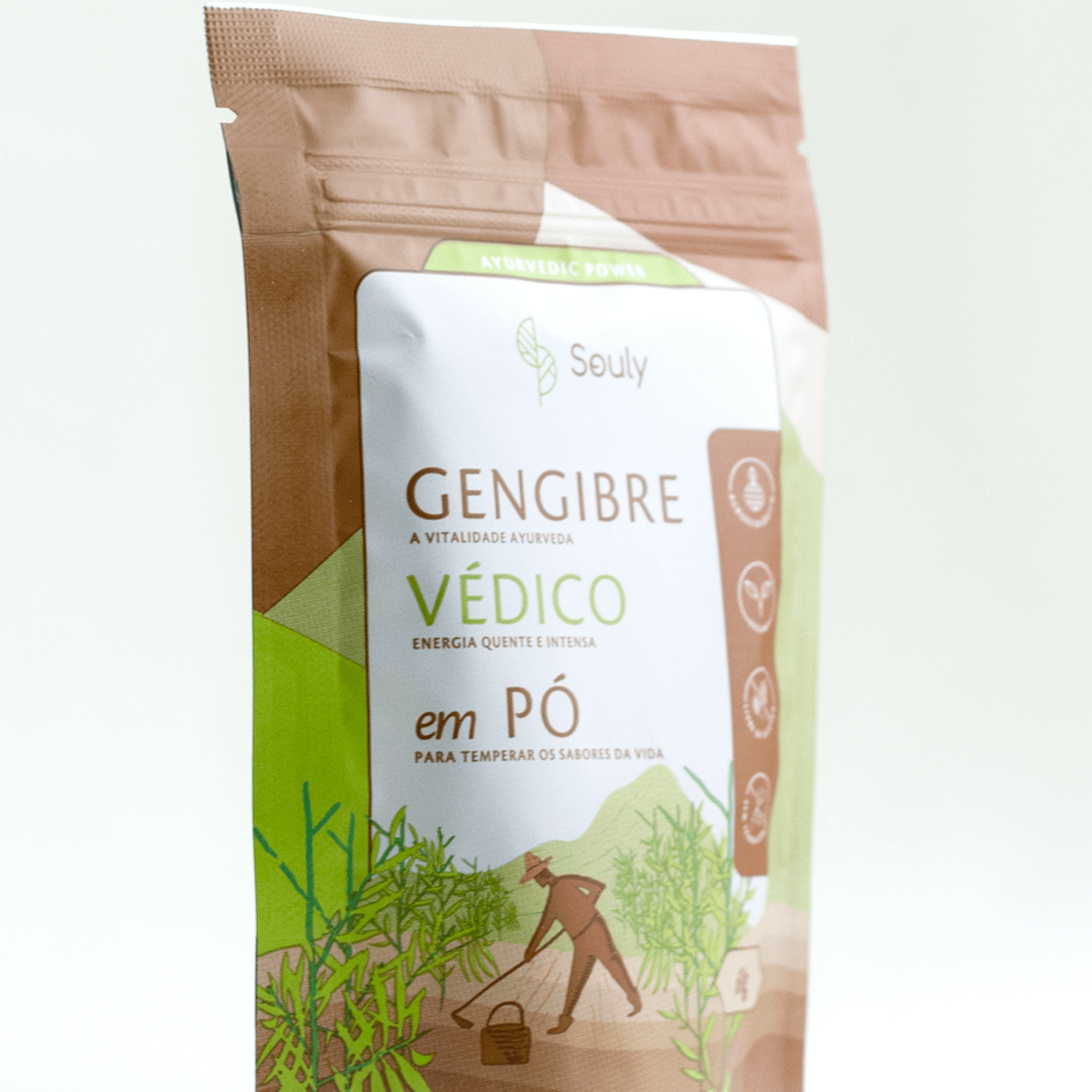 Gengibre Védico em Pó 60g - Souly